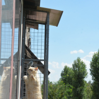 Вольер на окно ПХВ