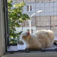 Вольер на окно ПХВ