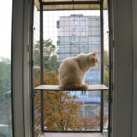 Вольер на окно ПХВ