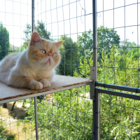 Вольер на окно