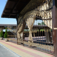 Забор с полимерной ковкой