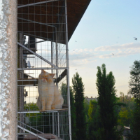 Вольер для кота. На окно.