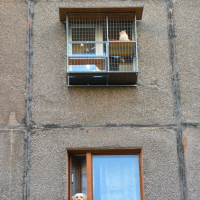 Вольер для кота. На окно.