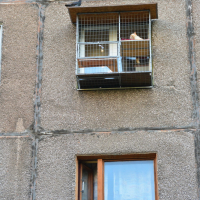 Вольер для кота. На окно.