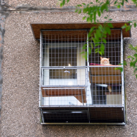 Вольер для кота. На окно.