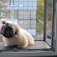 Вольер на окно ПХВ