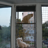 Вольер на окно ПХВ