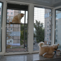 Вольер на окно ПХВ