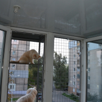 Вольер на окно ПХВ