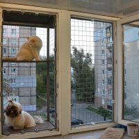Вольер на окно ПХВ